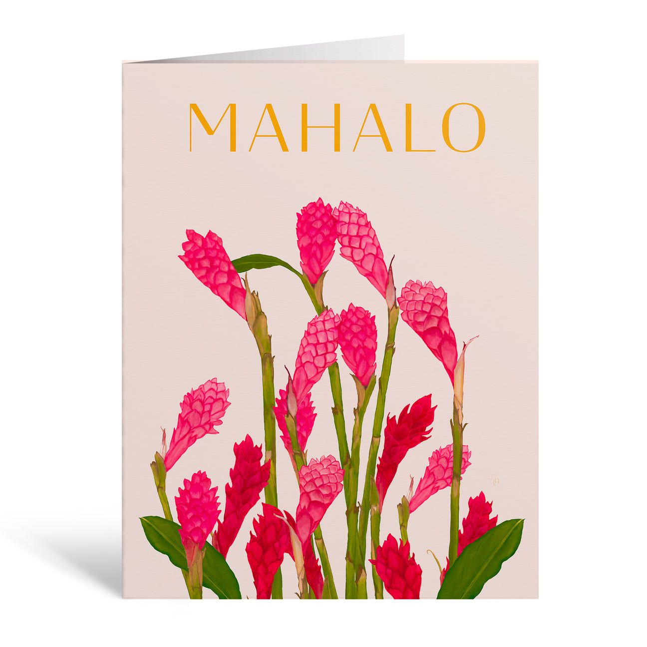 Pop-Up Mākeke - Aloha de Mele LLC - Blank Greeting Card - Mahalo Ginger