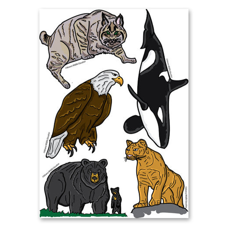 Pop-Up Mākeke - Advance Wildlife Education - North America Sticker Sheet - Front View