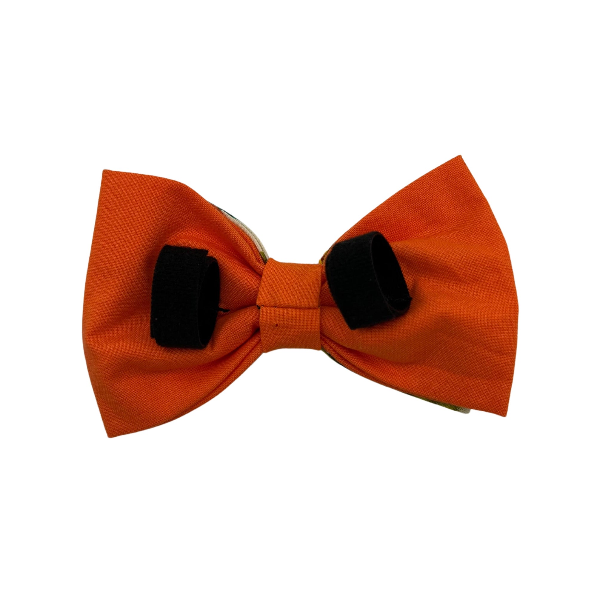 Pop-Up Mākeke - humBOWbarks Pet Wear - Medium Double Bow Tie - Orange Hibiscus - Back View