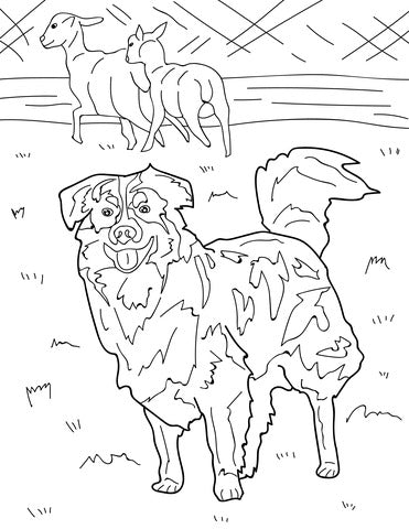 Pop-Up Mākeke - Advance Wildlife Education - Dogs Educational Coloring Book - Coloring Page