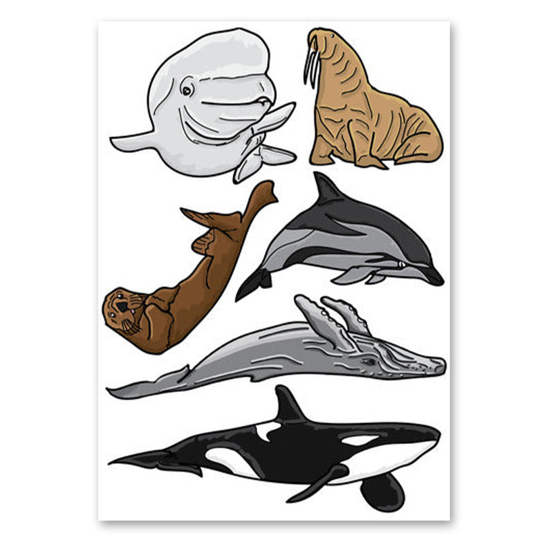 Pop-Up Mākeke - Advance Wildlife Education - Marine Mammals Sticker Sheet