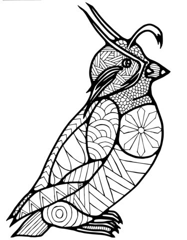 Pop-Up Mākeke - Advance Wildlife Education - Seabirds of the North Pacific Wildlife Coloring Book - Coloring Page