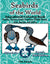 Pop-Up Mākeke - Advance Wildlife Education - Seabirds of the South Pacific Wildlife Coloring Book
