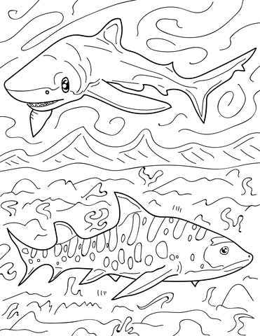 Pop-Up Mākeke - Advance Wildlife Education - Sharks and Rays Wildlife Educational Coloring Book - Coloring Page