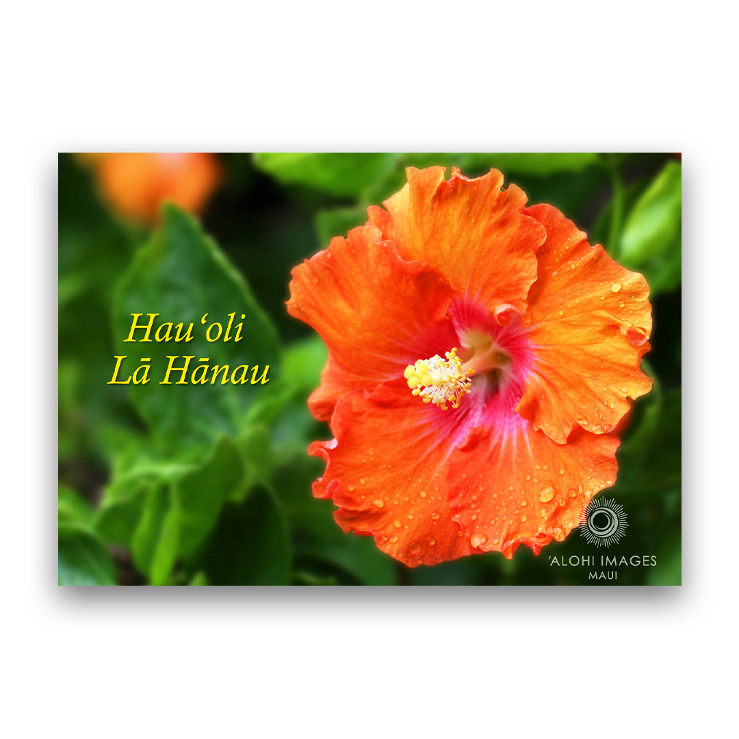 Pop-Up Mākeke - Alohi Images Maui - Hau‘oli Lā Hānau (Happy Birthday) Blank Greeting Card - Orange Hibiscus