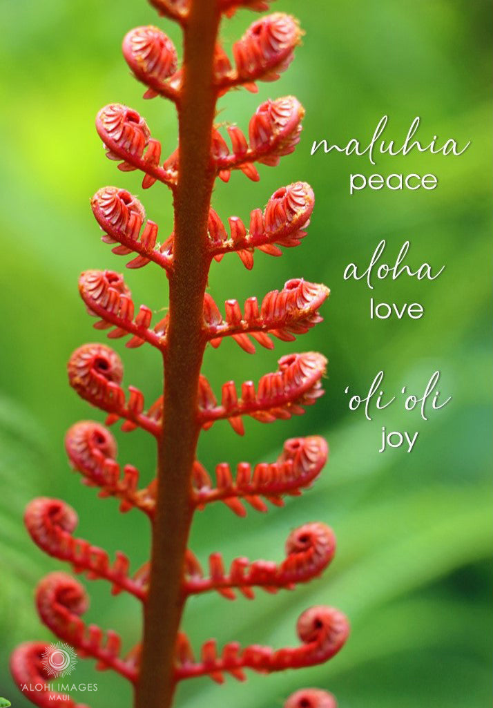 Pop-Up Mākeke - Alohi Images Maui - ‘Ama‘u Peace, Love, Joy Holiday Greeting Card Set