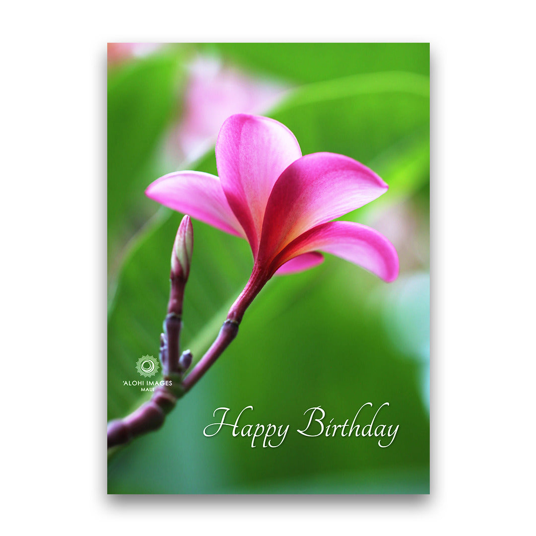 Pop-Up Mākeke - Alohi Images Maui - Pua Melia (Single Pink Plumeria) Birthday Greeting Card