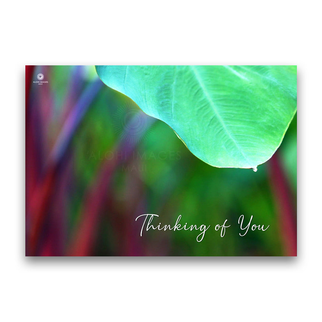 Pop-Up Mākeke - Alohi Images Maui - Thinking of You Blank Greeting Card