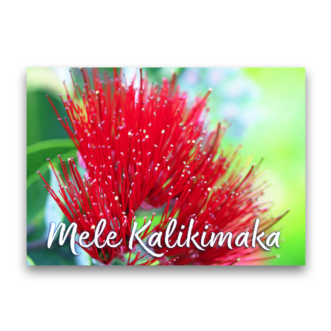 Pop-Up Mākeke - Alohi Images Maui - ‘Ōhi‘a lehua V – Mele Kalikimaka (Merry Christmas) Blank Card Set