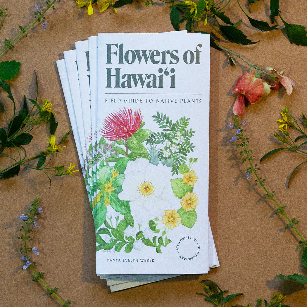 Pop-Up Mākeke - Laulima Hawai&#39;i - Flowers of Hawaiʻi - Field Guide to Native Plants