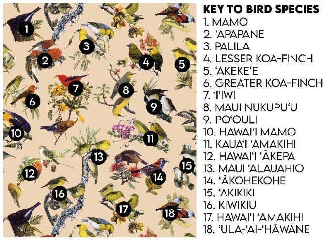 Pop-Up Mākeke - Laulima Hawai'i - Hawaiian Honeycreeper Blank Journal - Blush - Bird Information