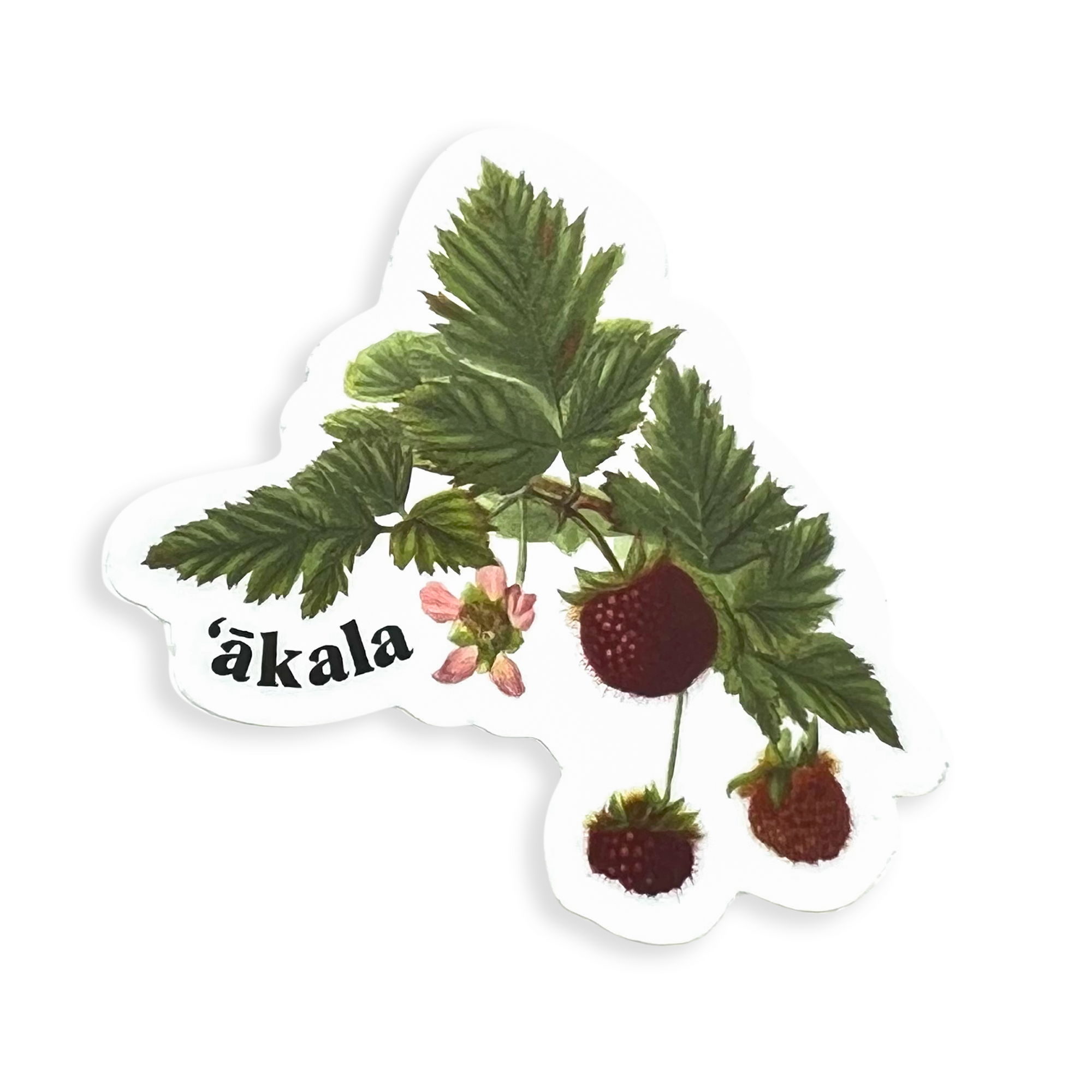 Pop-Up Mākeke - Laulima Hawai'i - Native Pua Sticker Pack - 'Akala