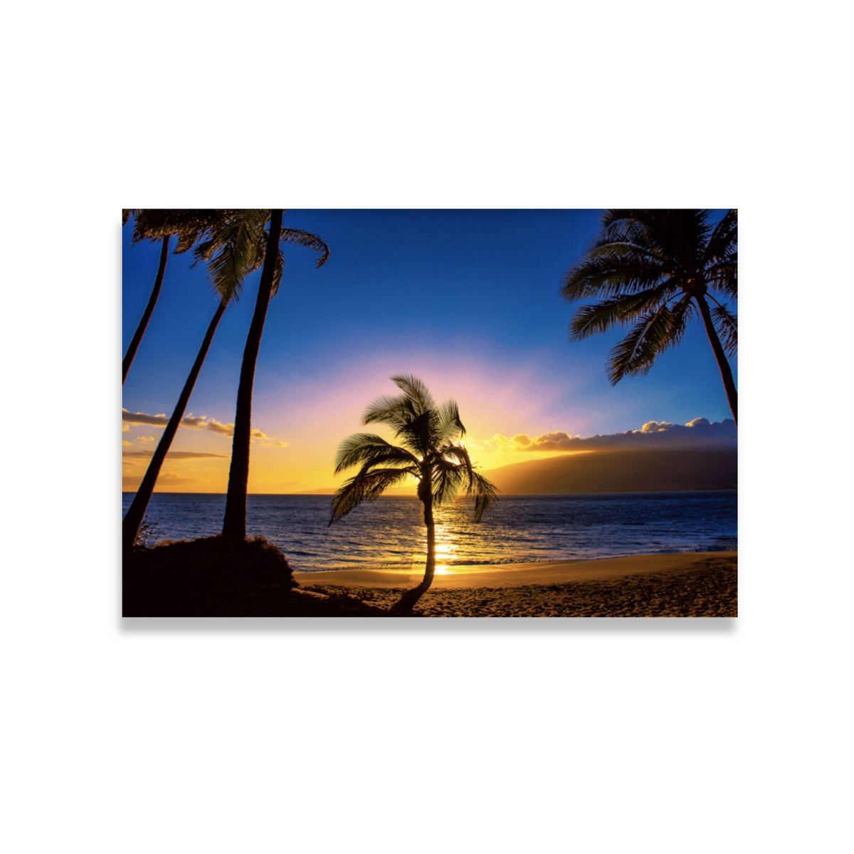 Pop-Up Mākeke - Maui Fine Art - Hawaiian Photo Print - &quot;Sunset Tree&quot; by Gilney Lima