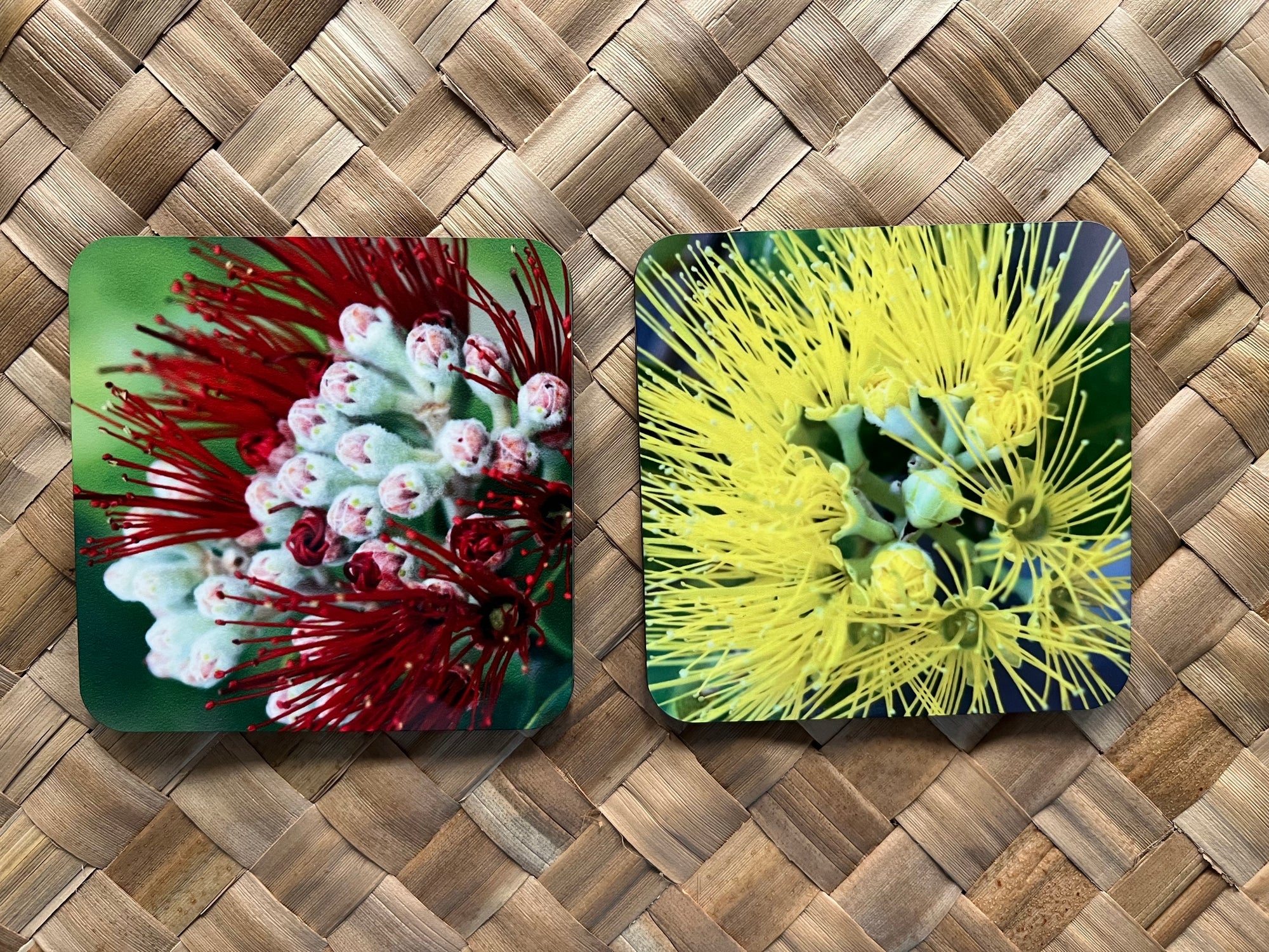 Photo Coasters - ʻŌhiʻa Mamo & ʻŌhiʻA Lehua