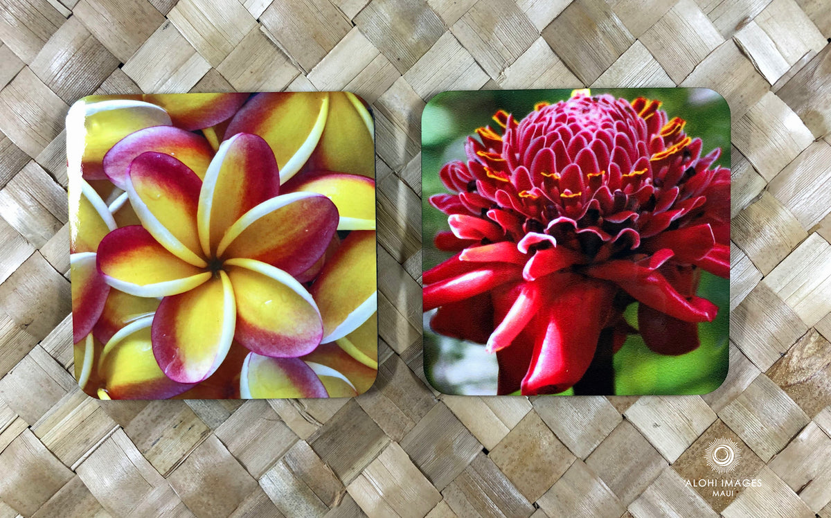Photo Coasters -- Torch Ginger &amp; Pua Melia