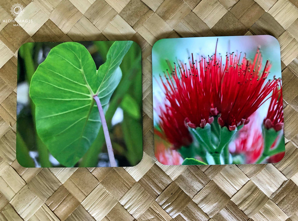 Photo Coasters -- ‘Ōhi‘a Lehua &amp; Kalo moano ‘ula‘ula (taro)