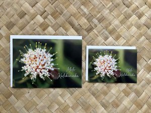 Mele Kalikimaka Card Set - Pincushion Protea