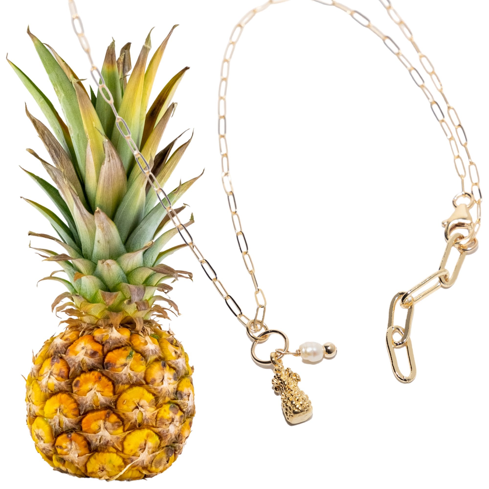 Pop-Up Mākeke - 21 Degrees North Designs - Kalahiki Lei Choker Necklace with Pineapple