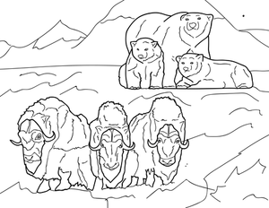 Pop-Up Mākeke - Advance Wildlife Education - North America Wildlife Educational Coloring Book - Coloring Page