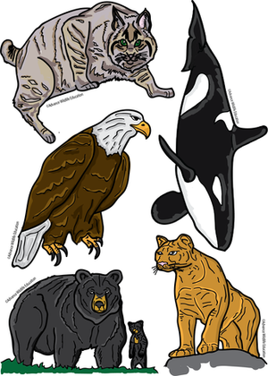 Pop-Up Mākeke - Advance Wildlife Education - North America Wildlife Educational Coloring Book - Sticker Sheet
