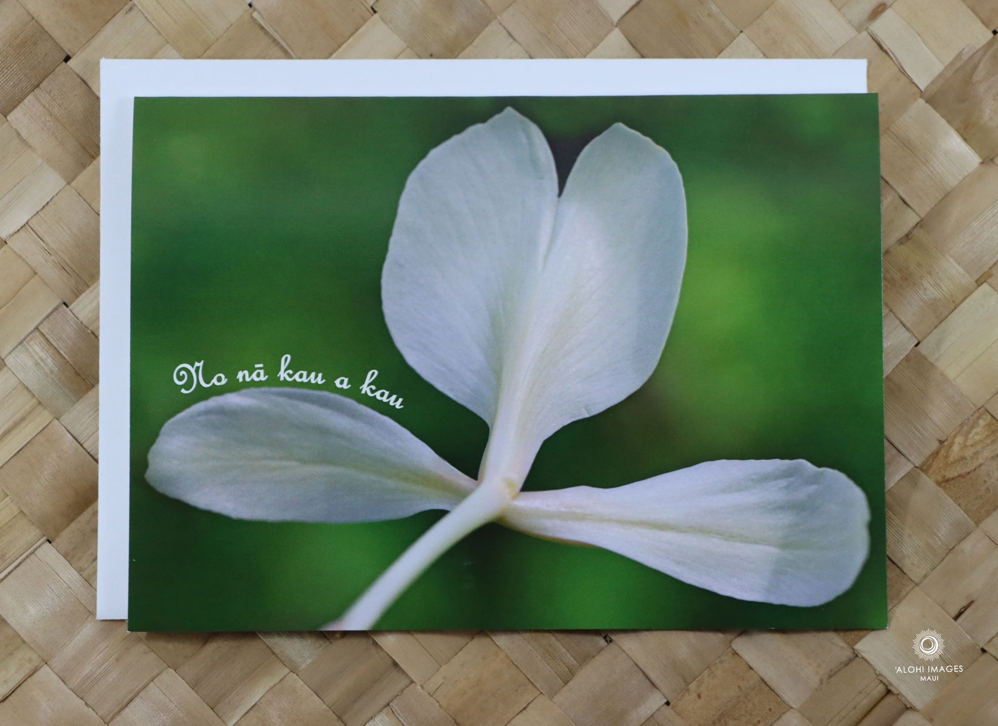 Pop-Up Mākeke - Alohi Images Maui - Awapuhi (White Ginger) - WeddingAnniversary Greeting Card - Forever and Ever - Front View