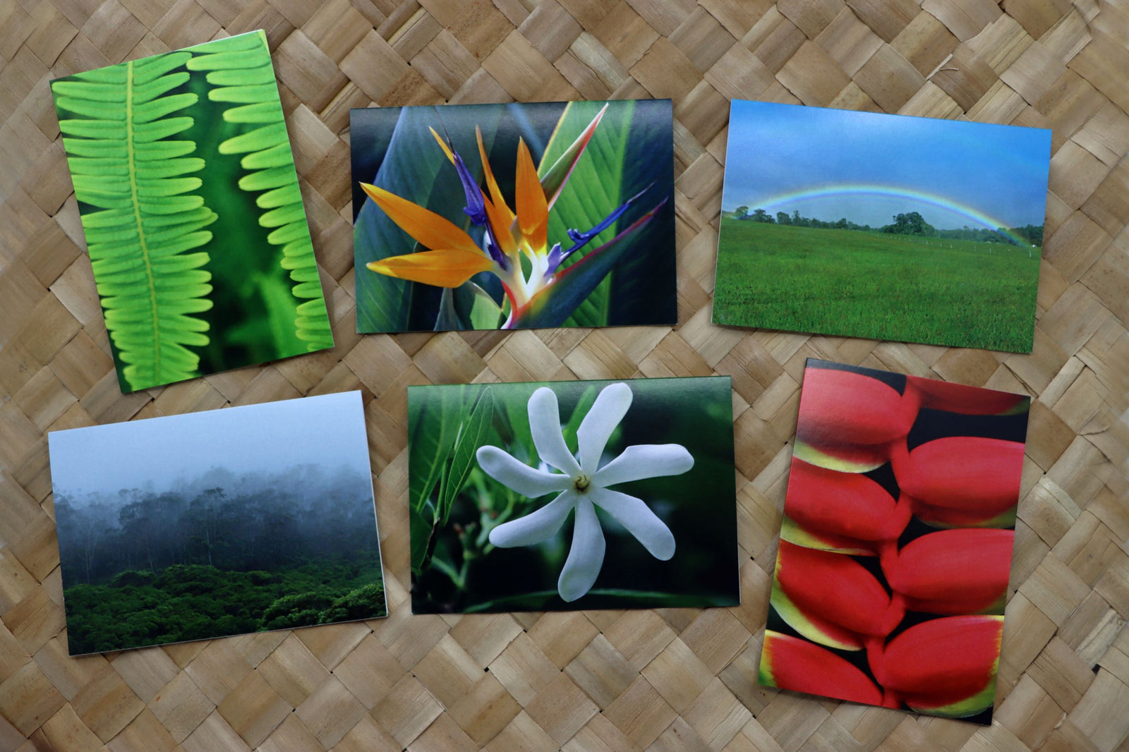 Pop-Up Mākeke - Alohi Images Maui - Bird of Paradise Variety Blank Notecards Set