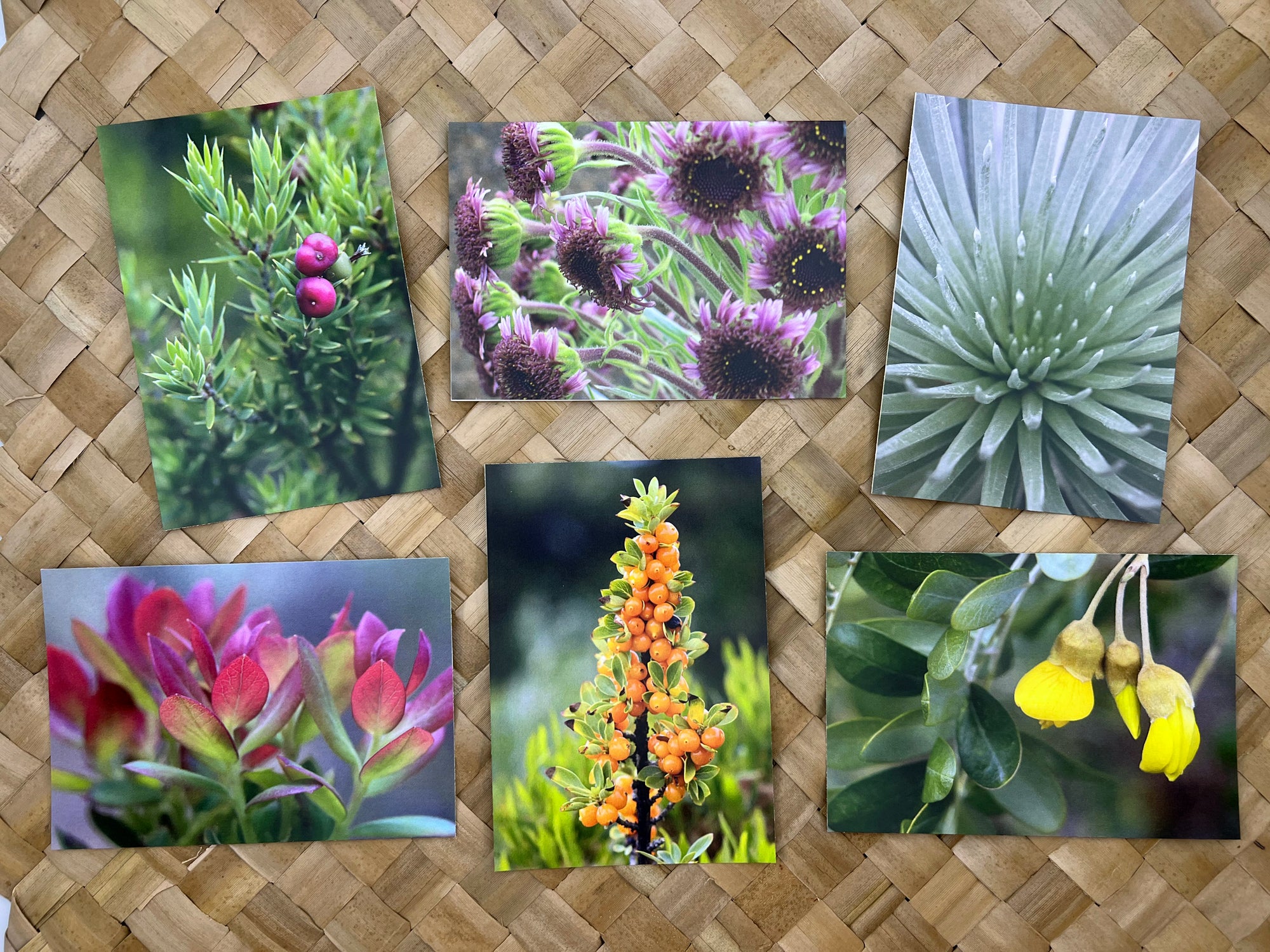 Pop-Up Mākeke - Alohi Images Maui - Haleakala Variety Blank Notecards Set