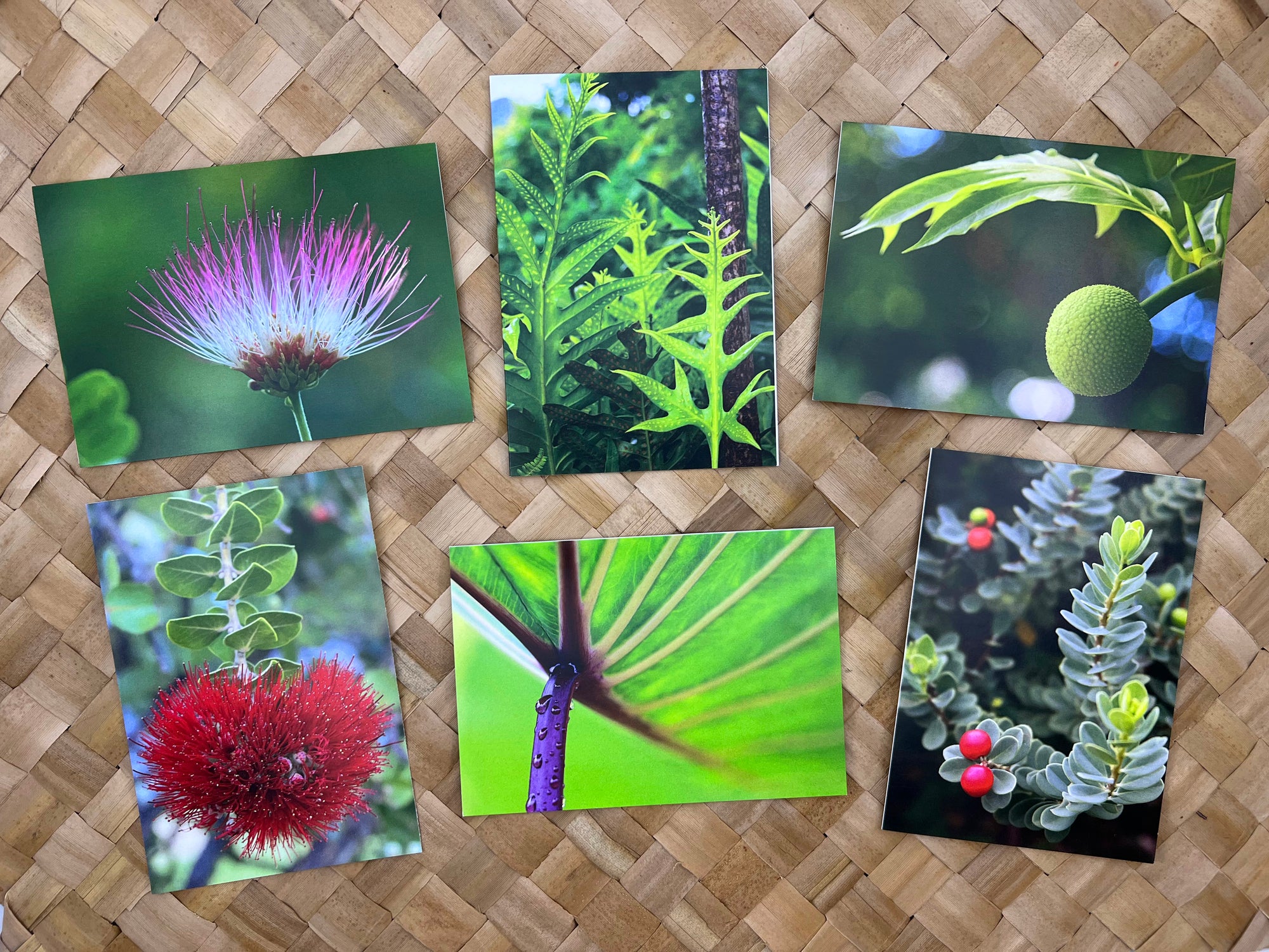 Pop-Up Mākeke - Alohi Images Maui - Noho‘ana Variety Blank Notecard Set