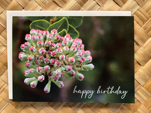 Pop-Up Mākeke - Alohi Images Maui - ʻŌhiʻa Lehua Birthday Greeting Card
