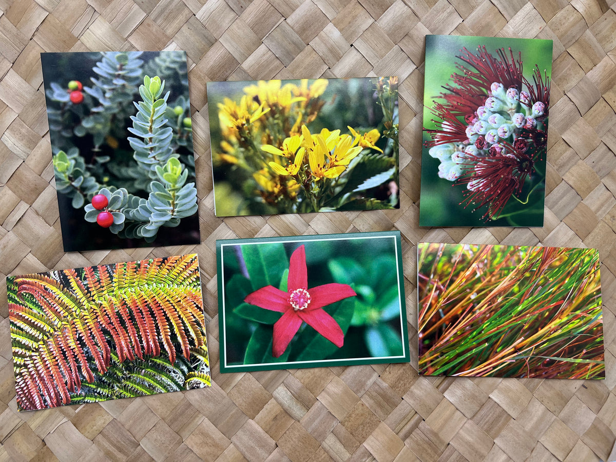 Pop-Up Mākeke - Alohi Images Maui - ‘Ōiwi Variety Blank Notecards Set