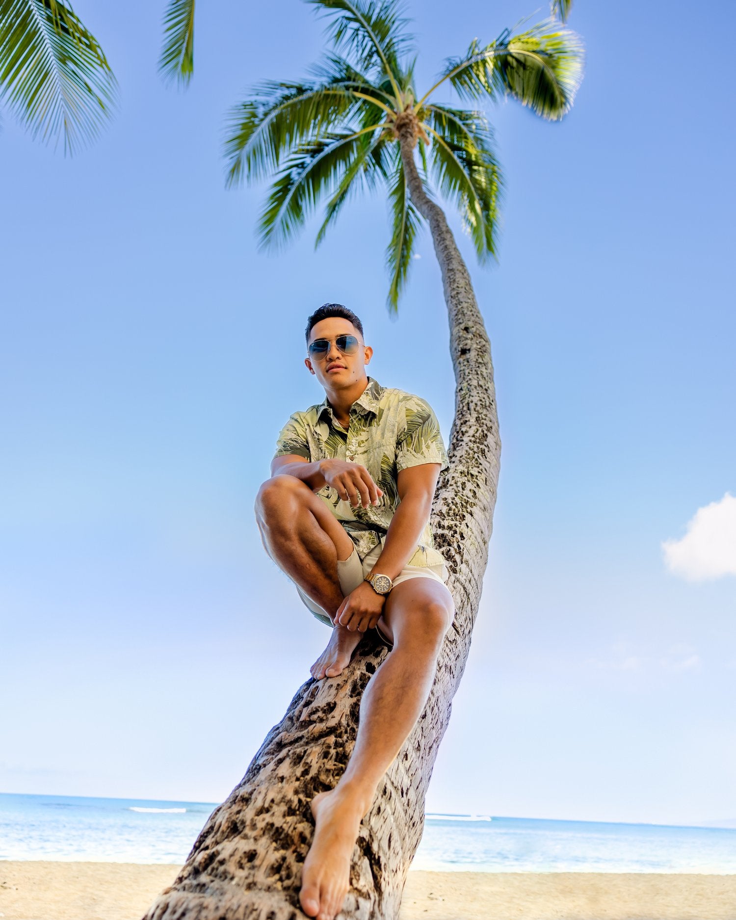 Pop-Up Mākeke - David Shepard Hawaii - Coconut Flower, Fruit, & Fronds Aloha Shirt - On Model