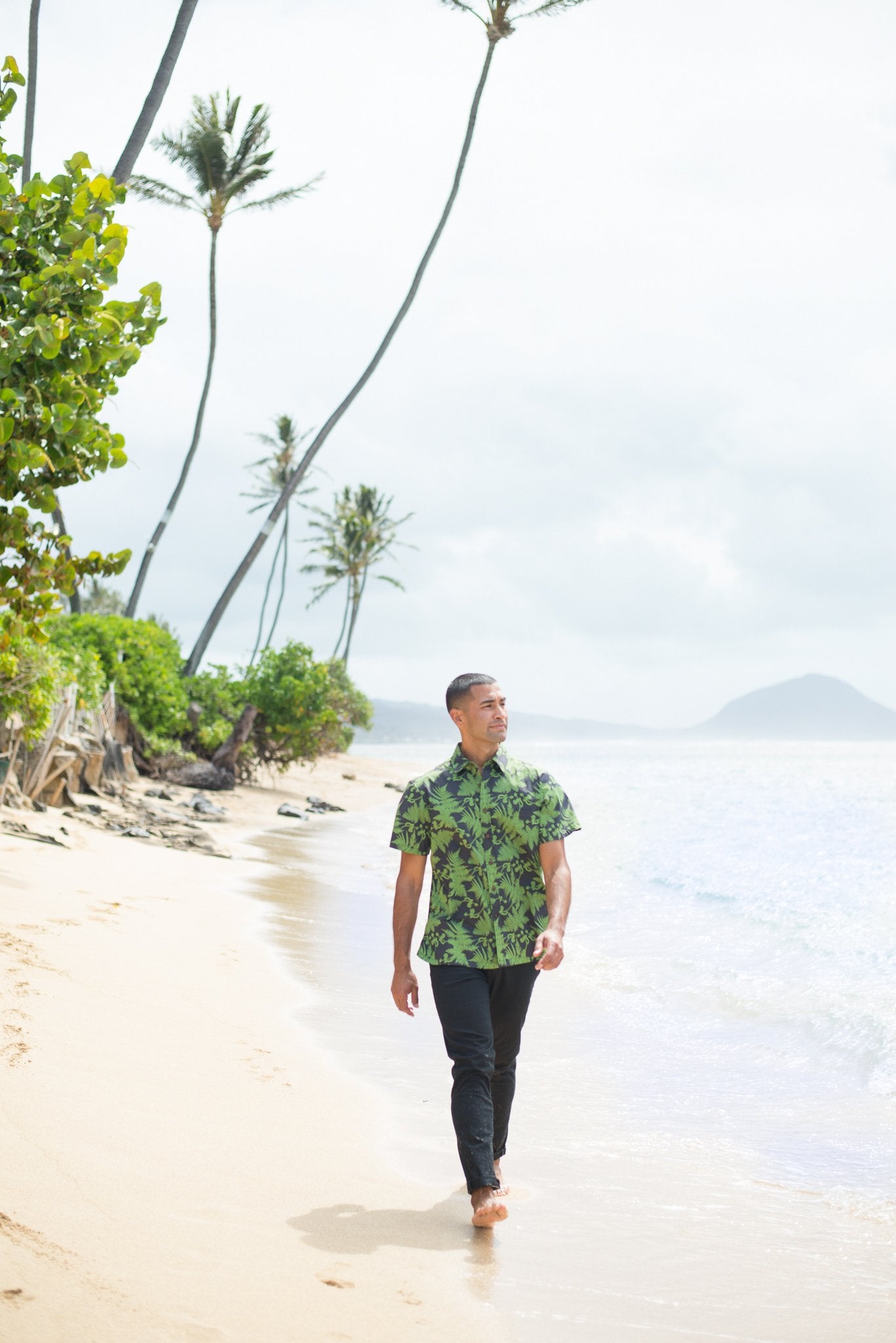 Pop-Up Mākeke - David Shepard Hawaii - Hāpuʻu Tree Fern Men's Aloha Shirt