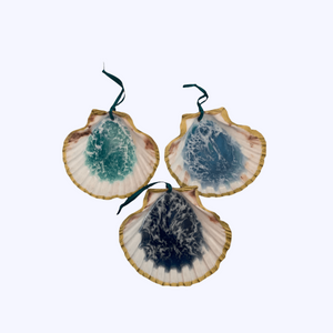 Pop-Up Mākeke - Flattery Designs - Ocean Resin Scallop Shell Ornament