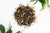 Pop-Up Mākeke - PonoInfusions - Lani Organic Hibiscus and Citrus Tea Loose Leaf Infusion - Unbrewed